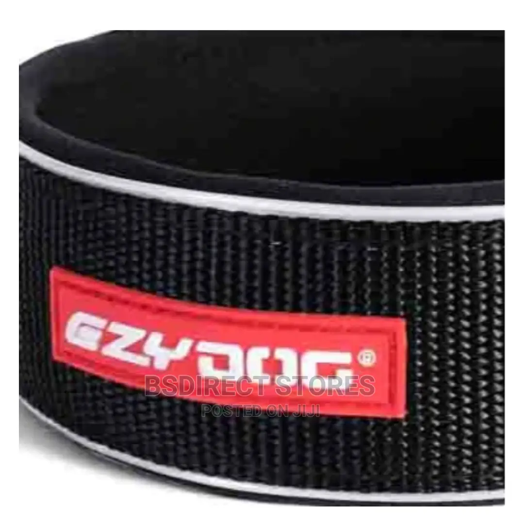 Ezydog BLACK SMALL Neo Classic Collar Strong Reflective