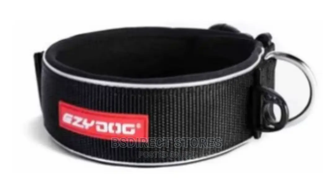 Ezydog BLACK SMALL Neo Classic Collar Strong Reflective