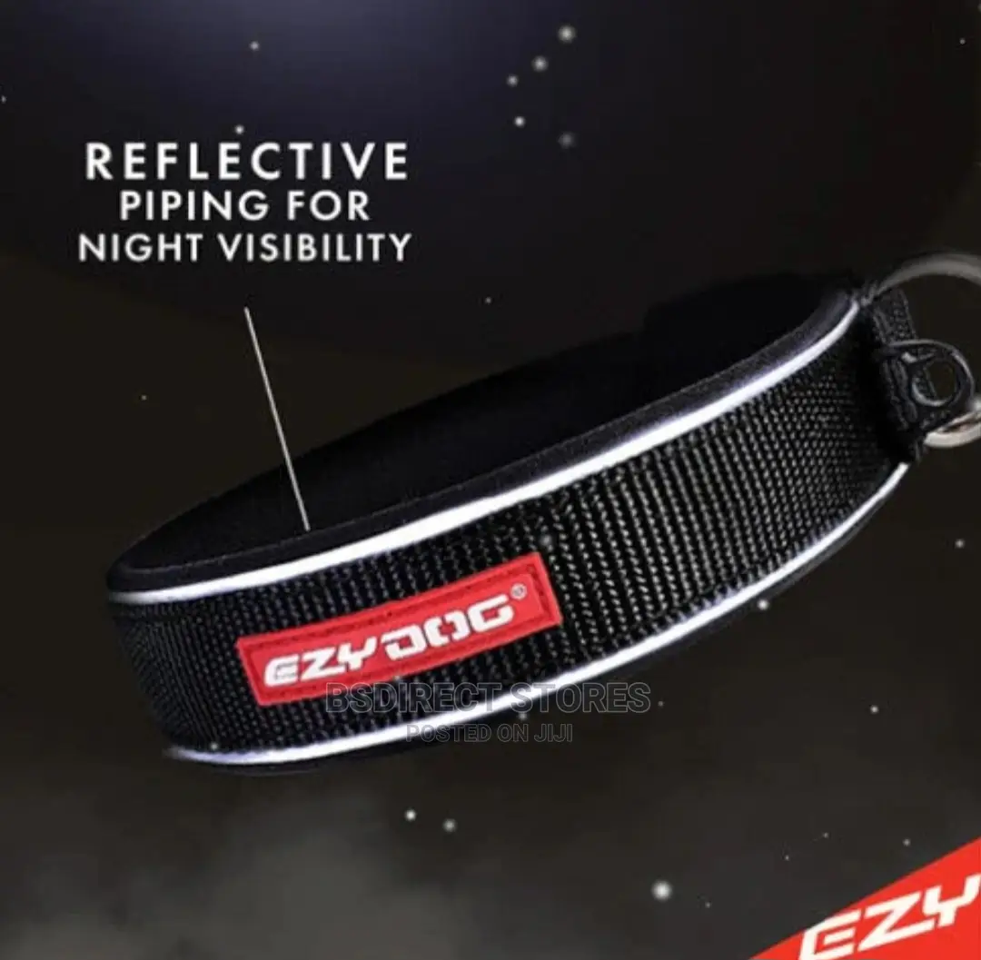 Ezydog BLACK SMALL Neo Classic Collar Strong Reflective
