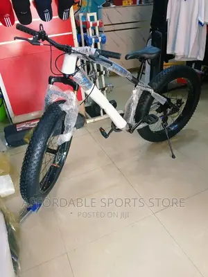 Brand New Adult Big Tyre Bicycle