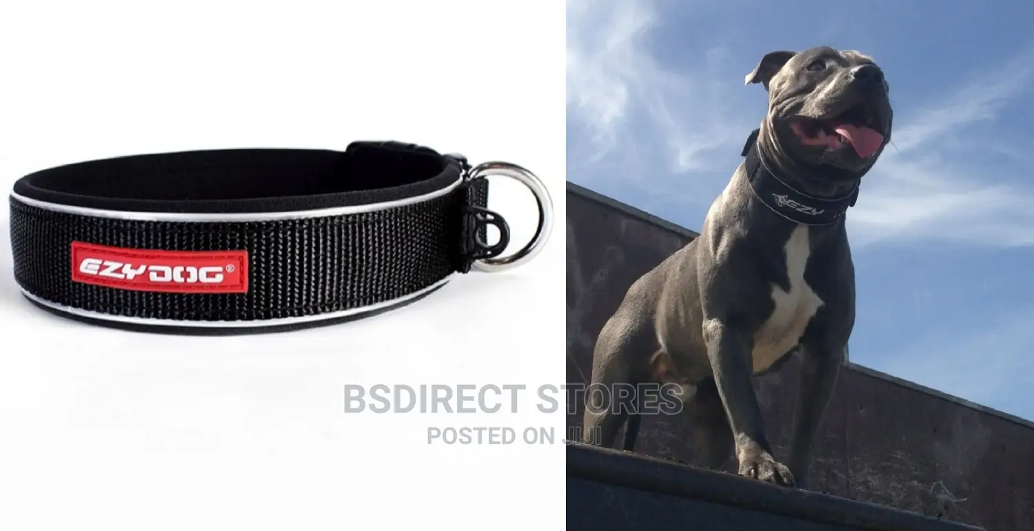 Ezydog Neoclassic Collar Strong Reflective EXTRA LARGE BLACK
