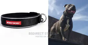 Ezydog Neoclassic Collar Strong Reflective EXTRA LARGE BLACK