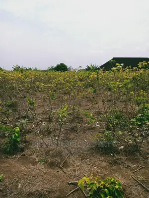 Land for Sale at Ogbogoro Close to Malaysia Estate Ph