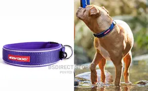 Ezydog XL PURPLE Neo Classic Collar Strong Reflective