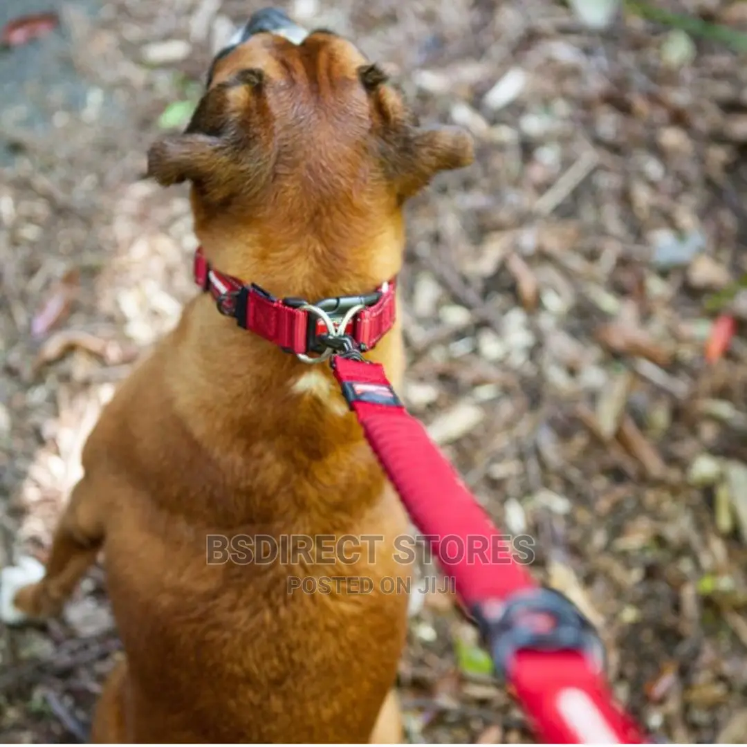 Ezydog ZERO SHOCK 25" RED Leash Shock Absorbing Dog Leash