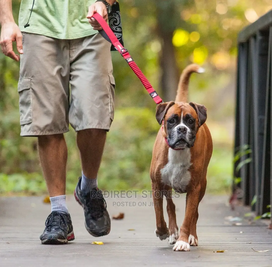 Ezydog ZERO SHOCK 25" RED Leash Shock Absorbing Dog Leash
