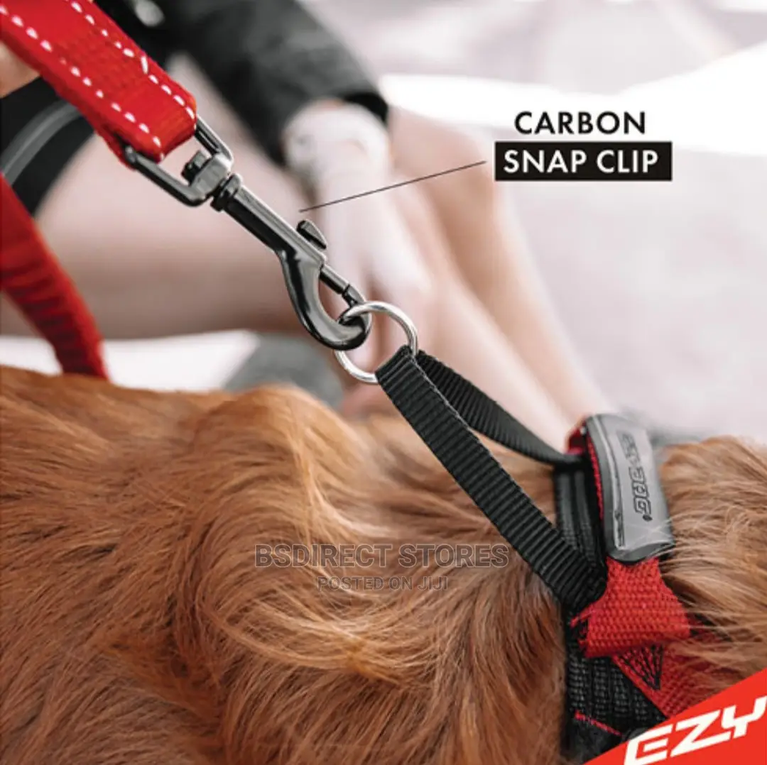 Ezydog ZERO SHOCK 25" RED Leash Shock Absorbing Dog Leash