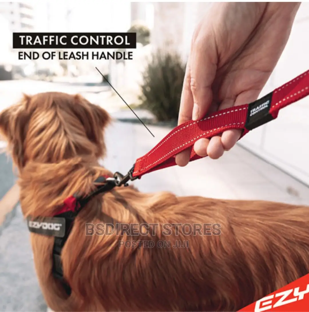 Ezydog ZERO SHOCK 25" RED Leash Shock Absorbing Dog Leash