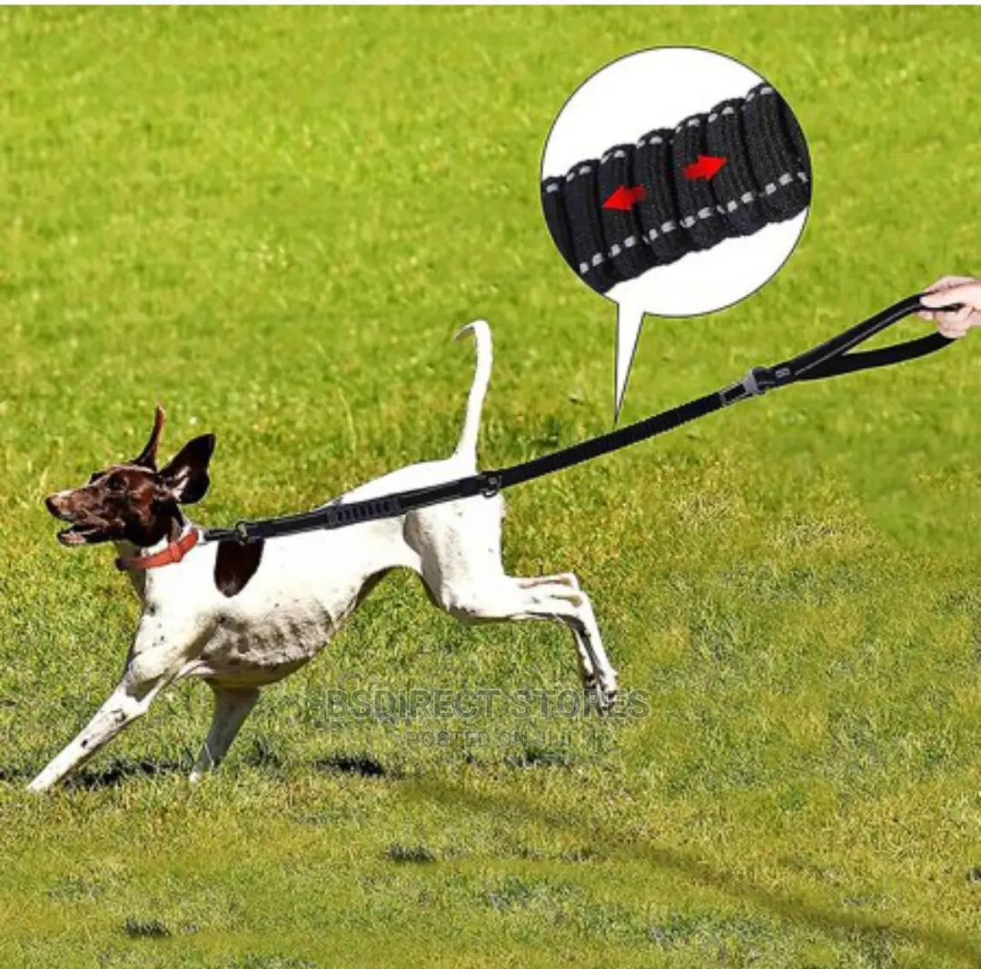 Ezydog BLACK ZERO SHOCK 25" Leash Shock Absorbing Dog Leash