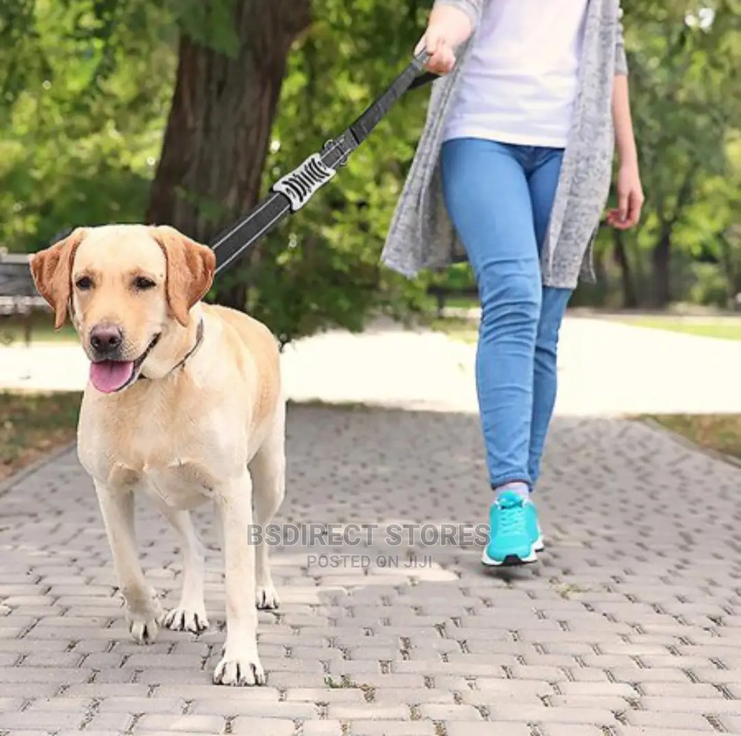 Ezydog BLACK ZERO SHOCK 25" Leash Shock Absorbing Dog Leash