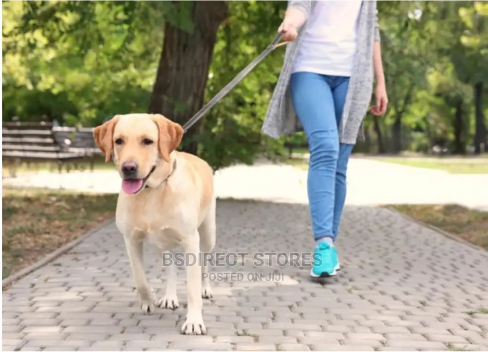 Ezydog BLACK ZERO SHOCK 25" Leash Shock Absorbing Dog Leash