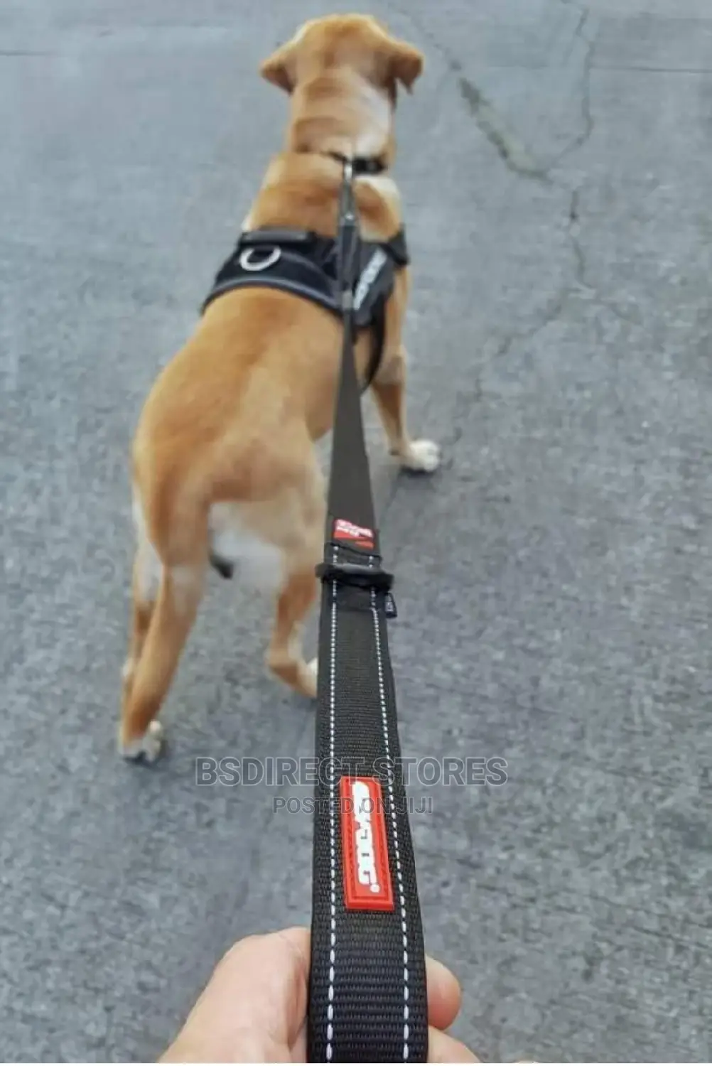 Ezydog BLACK ZERO SHOCK 25" Leash Shock Absorbing Dog Leash