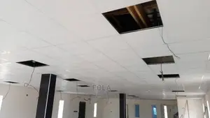 Gypsum Board Suspended Ceiling