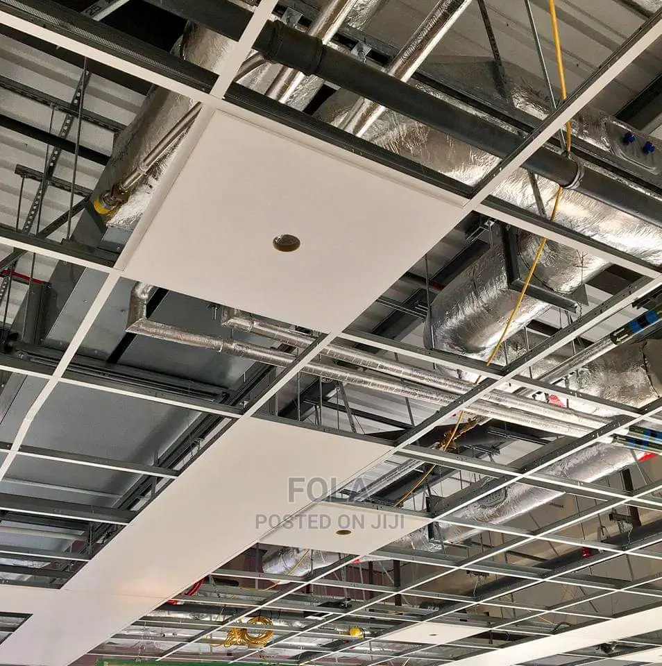 Ceiling Tiles With Grids