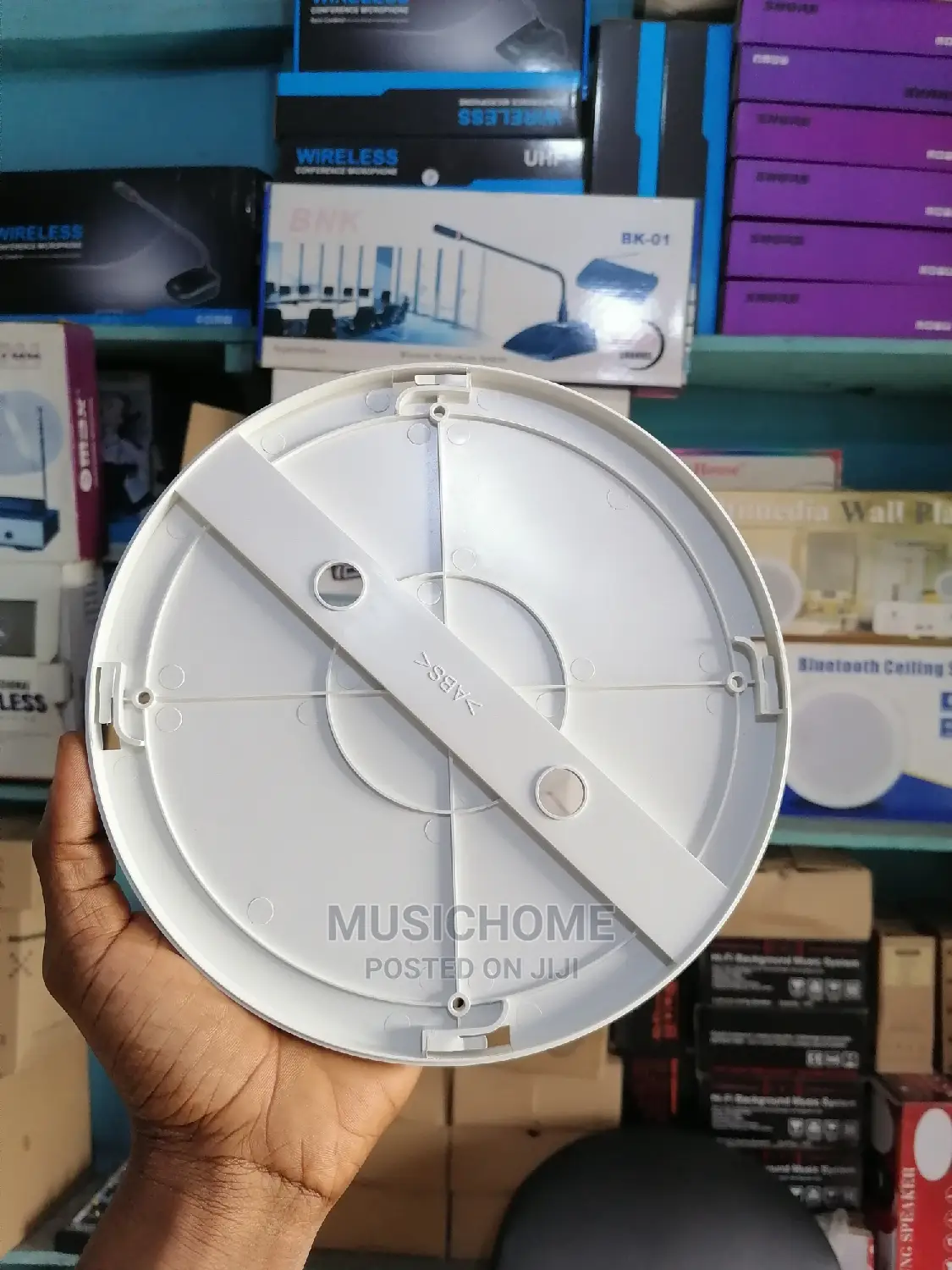 Professional Wall/Decken Mount Ceiling Speaker