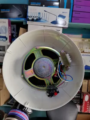 Professional Wall/Decken Mount Ceiling Speaker