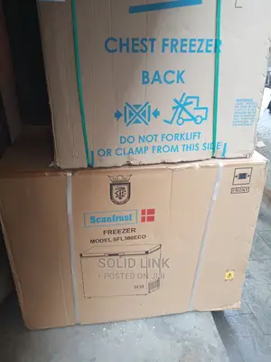 Scanfrost Freezer 300l