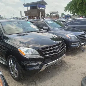 Mercedes-Benz M Class 2014 Black
