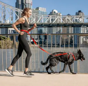 Ezydog RED Road Runner Lengthy Handsfree Zeroshock Dog Leash