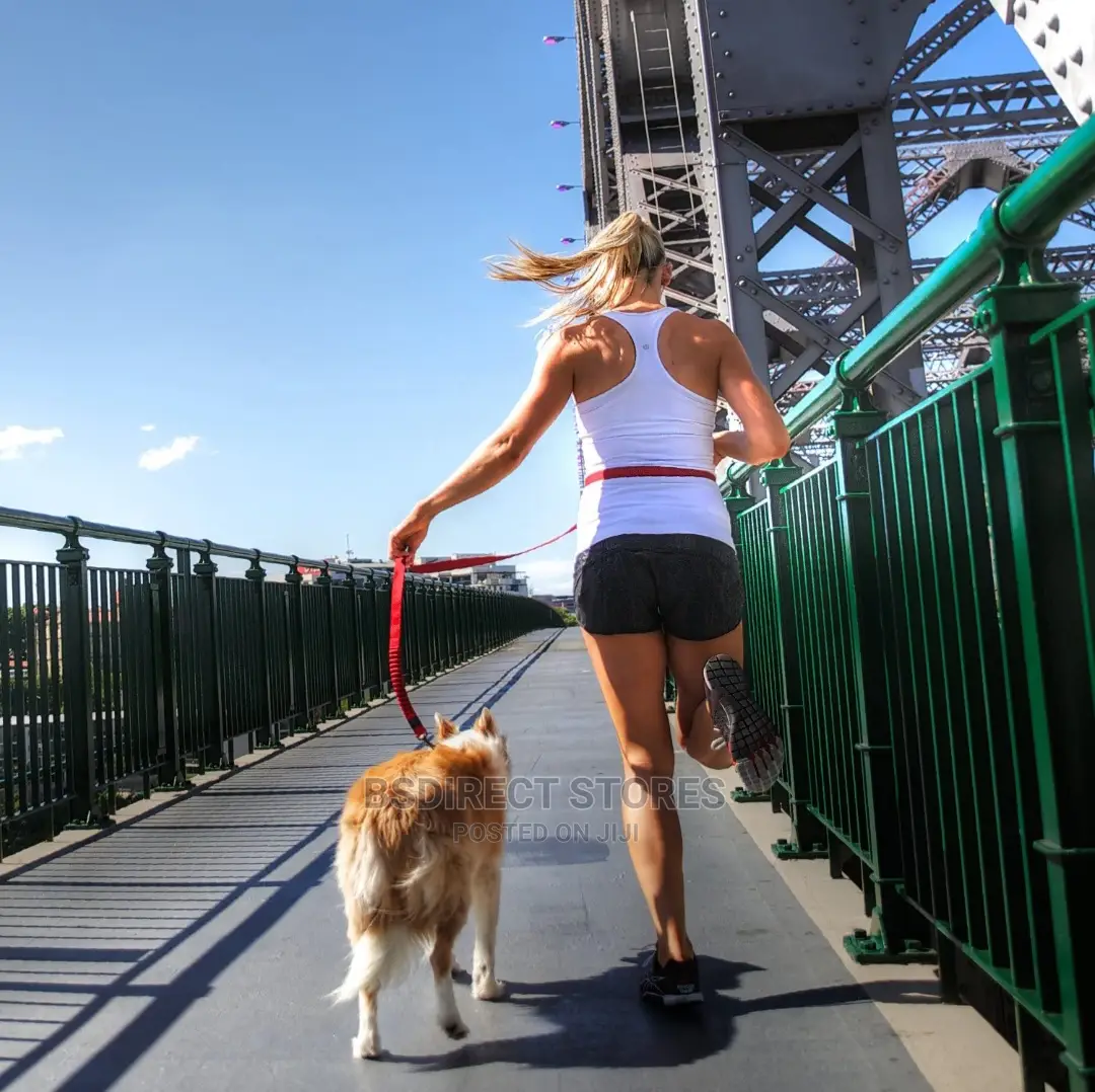 Ezydog RED Road Runner Lengthy Handsfree Zeroshock Dog Leash