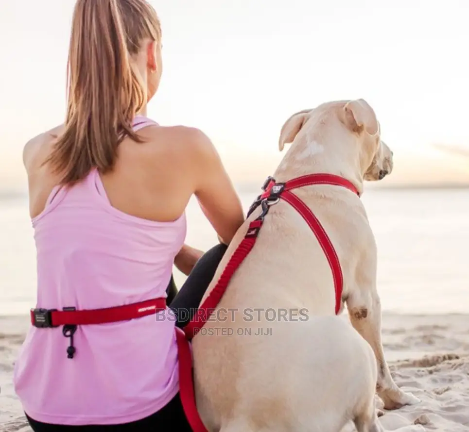 Ezydog RED Road Runner Lengthy Handsfree Zeroshock Dog Leash