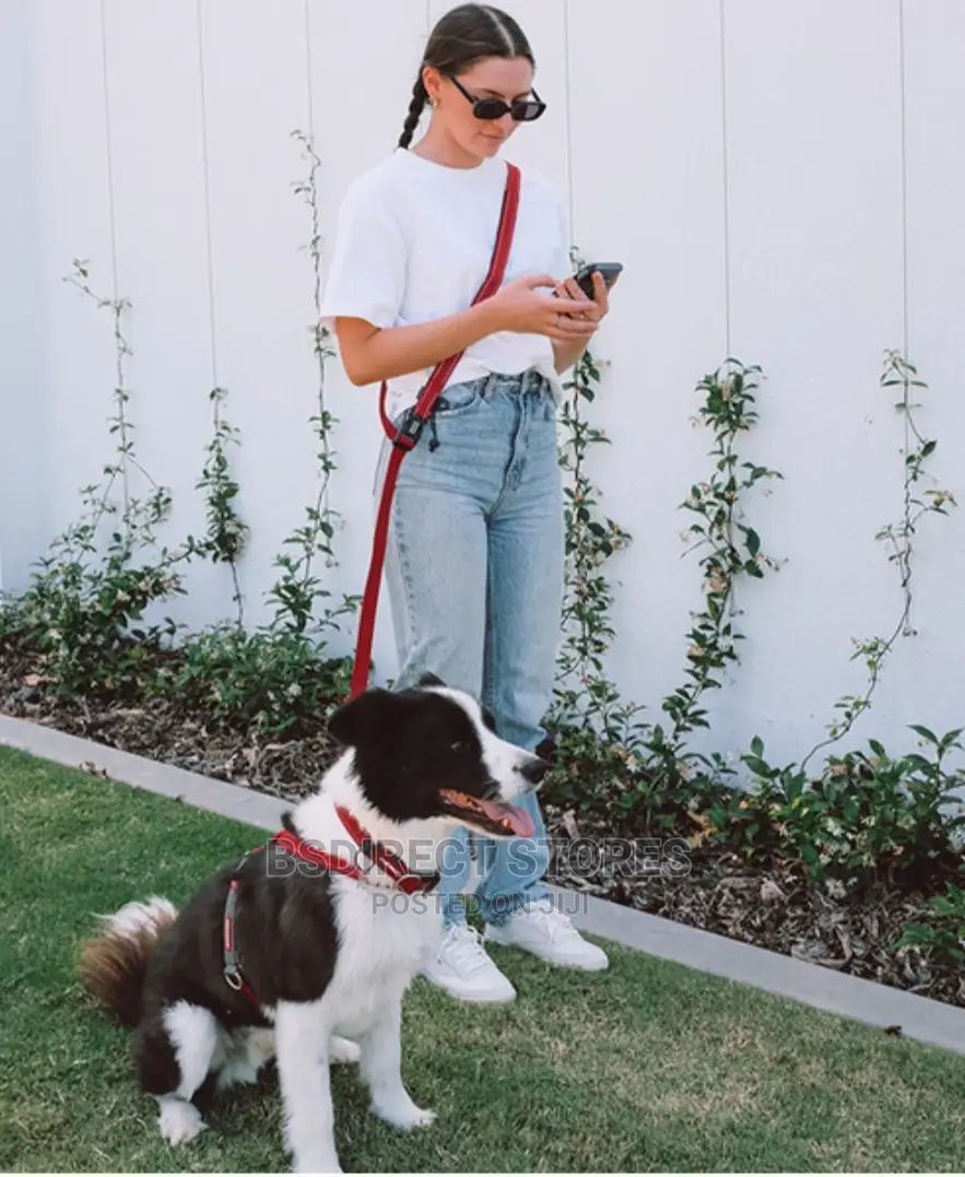 Ezydog RED Road Runner Lengthy Handsfree Zeroshock Dog Leash