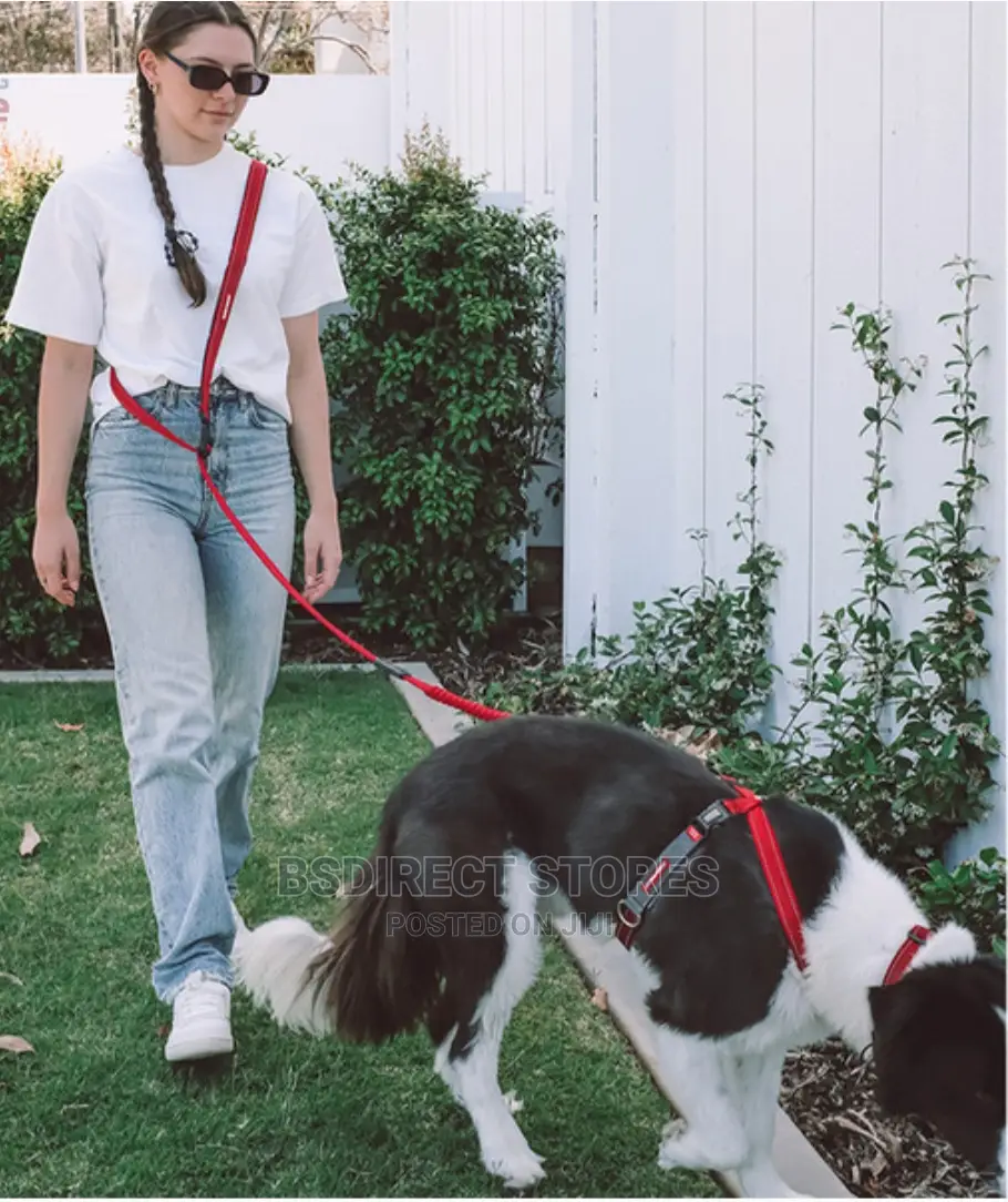 Ezydog RED Road Runner Lengthy Handsfree Zeroshock Dog Leash
