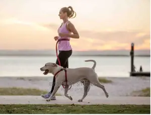 Ezydog RED Road Runner Lengthy Handsfree Zeroshock Dog Leash