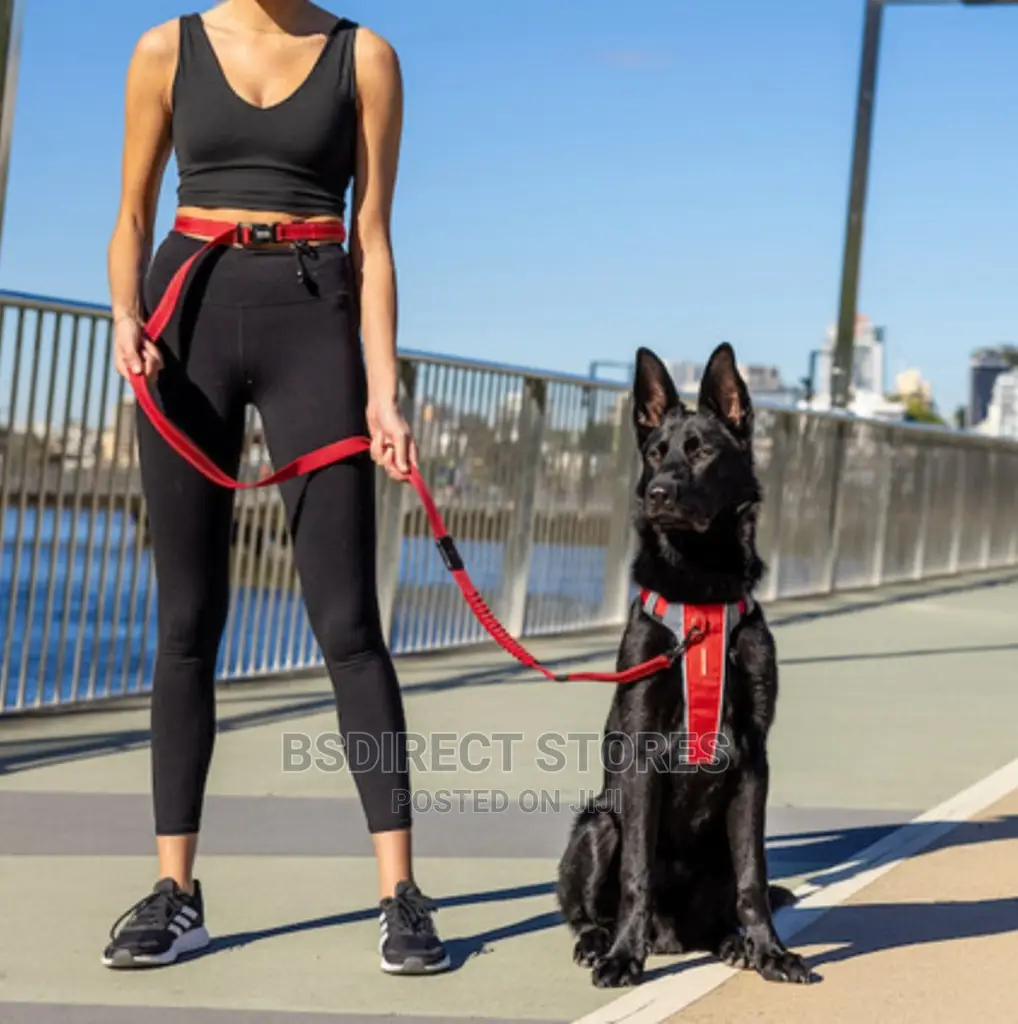 Ezydog RED Road Runner Lengthy Handsfree Zeroshock Dog Leash