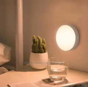 Body Induction Lamp