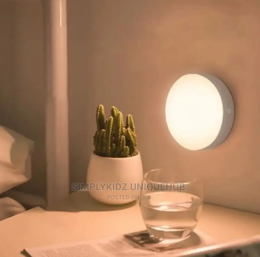 Body Induction Lamp