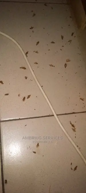 Rapid Response Fumigation Services