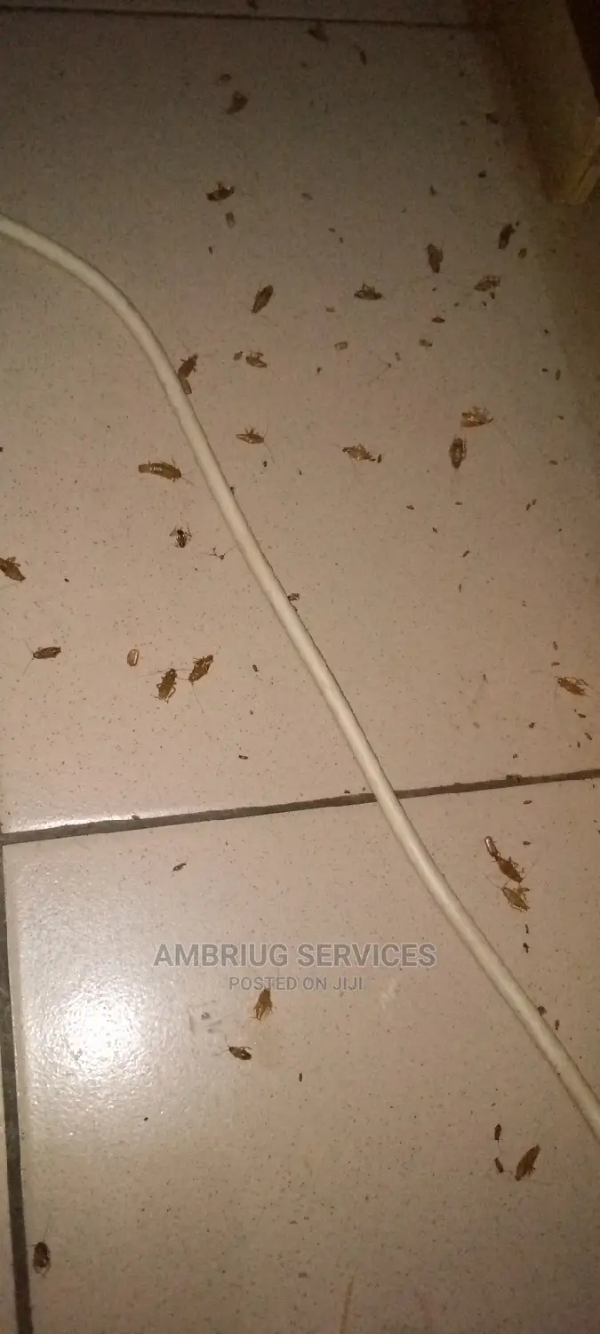 Rapid Response Fumigation Services