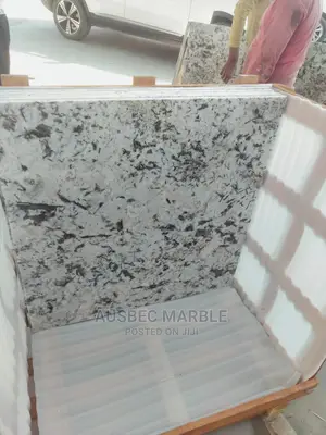 Alaska White 90by90 Granite Tiles