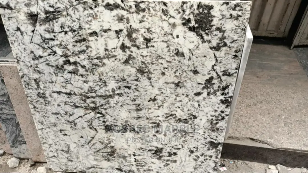 Alaska White 90by90 Granite Tiles