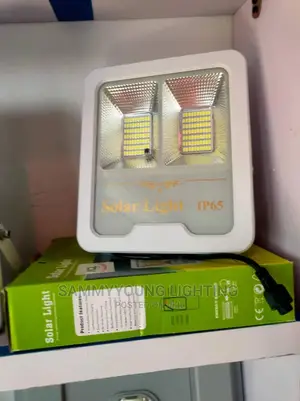 Solar Flood Light 100w