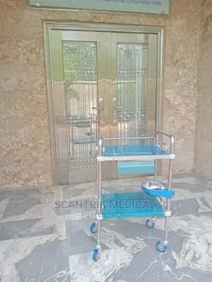 Silver Stainless Steel Hospital Dressing Trolley