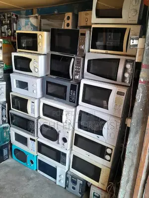 Microwave Food Warmer