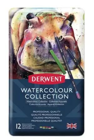 Derwent Watercolour 12 Artists Pencils, Painting Drawing