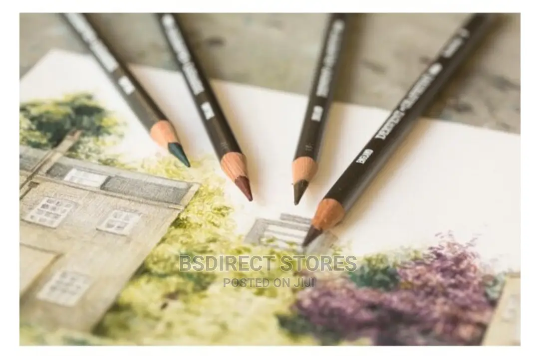 Derwent Graphitint Tinted Graphite Drawing Artists Pencil 12