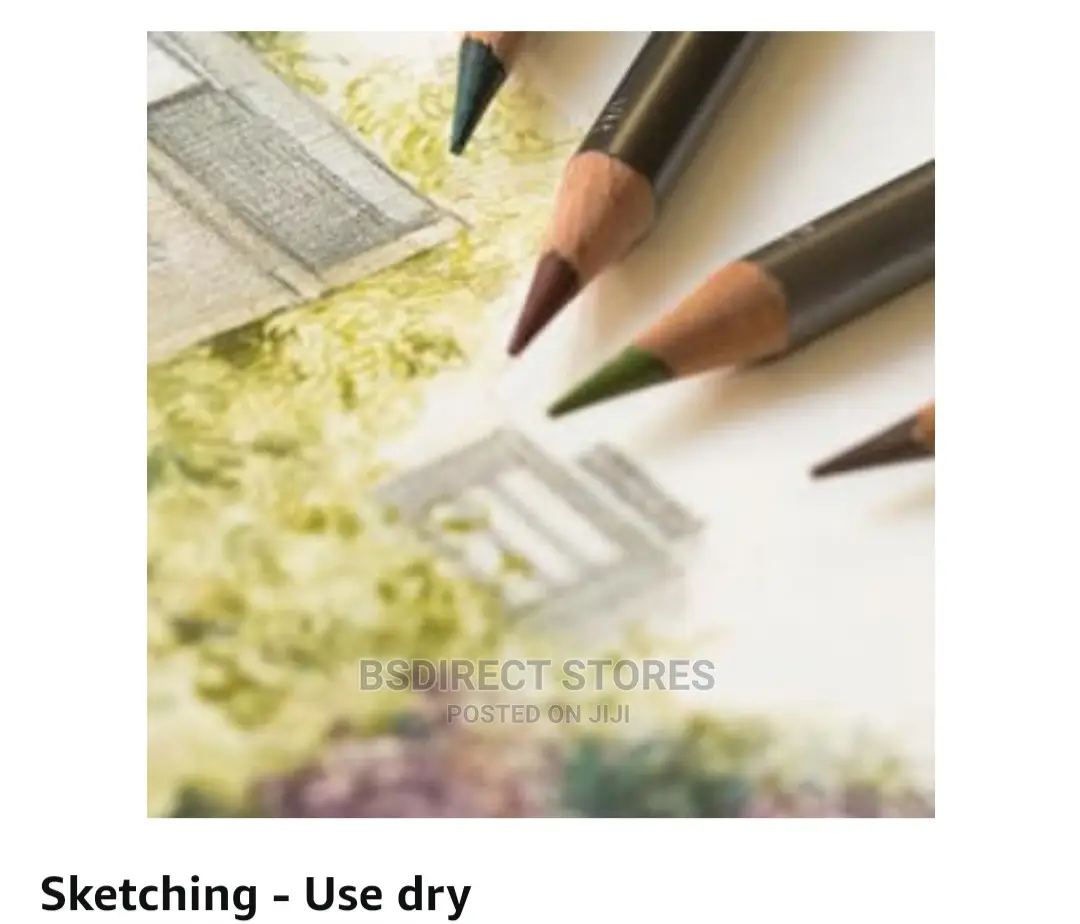 Derwent Graphitint Tinted Graphite Drawing Artists Pencil 12