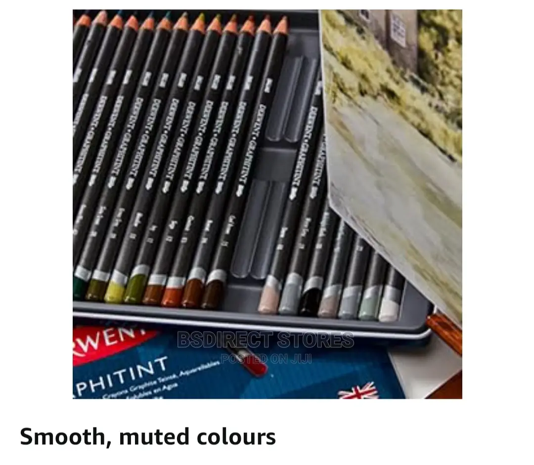 Derwent Graphitint Tinted Graphite Drawing Artists Pencil 12