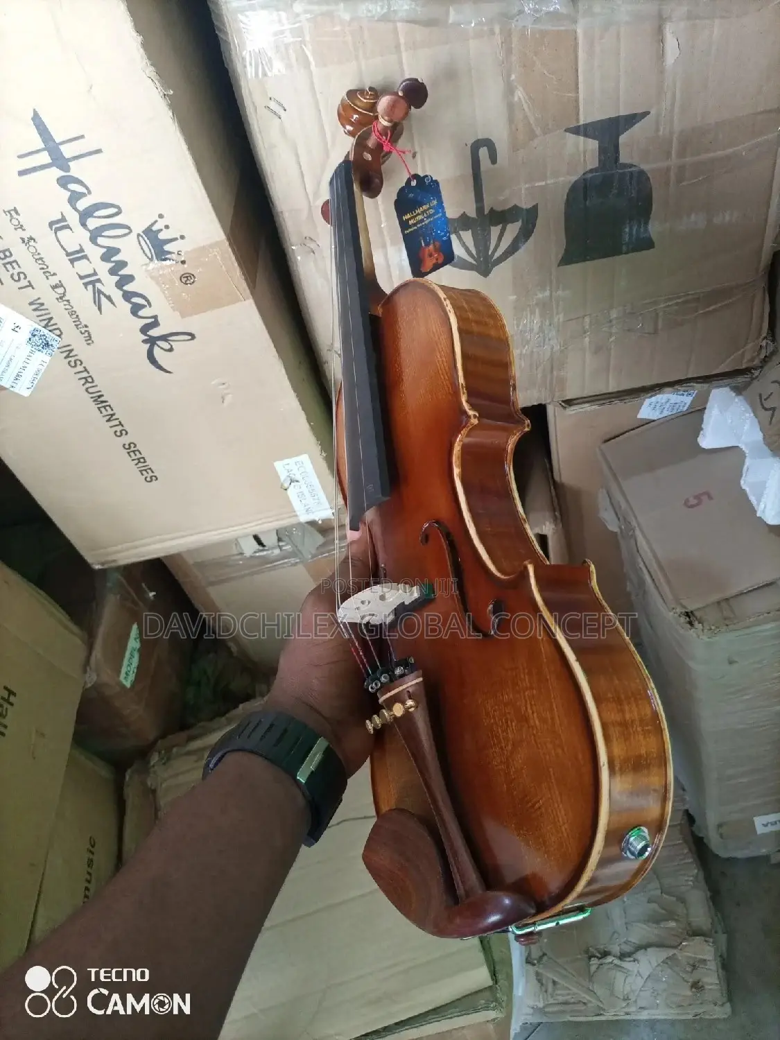 Hallmark Semi Acoustic Violin