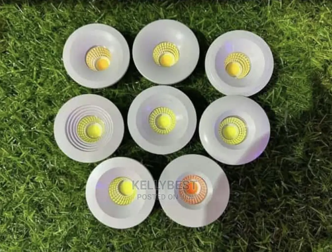 Outdoor Lights