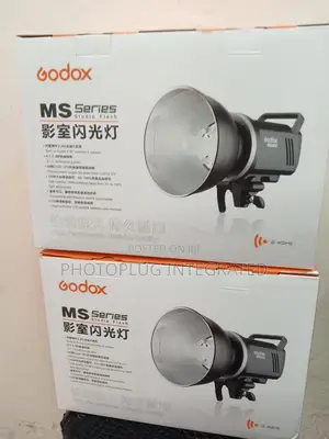 2 Godox MS300 Indoor Studio Flash With 2 Big Light Stand
