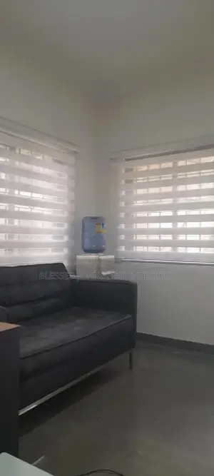Office Day and Night Window Blinds