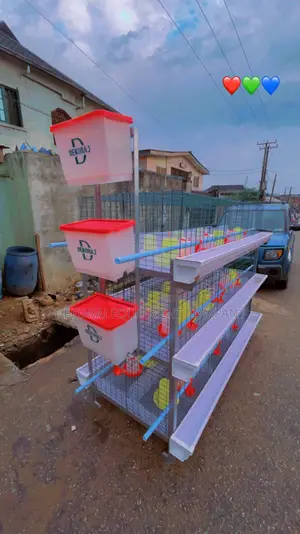 Broiler Empowerment Cage and Layer Cage,Bell Drinkers