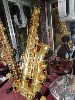 Vintage Gold Alto Saxophone