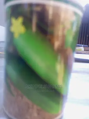 Hybrid Cucumber Seeds.