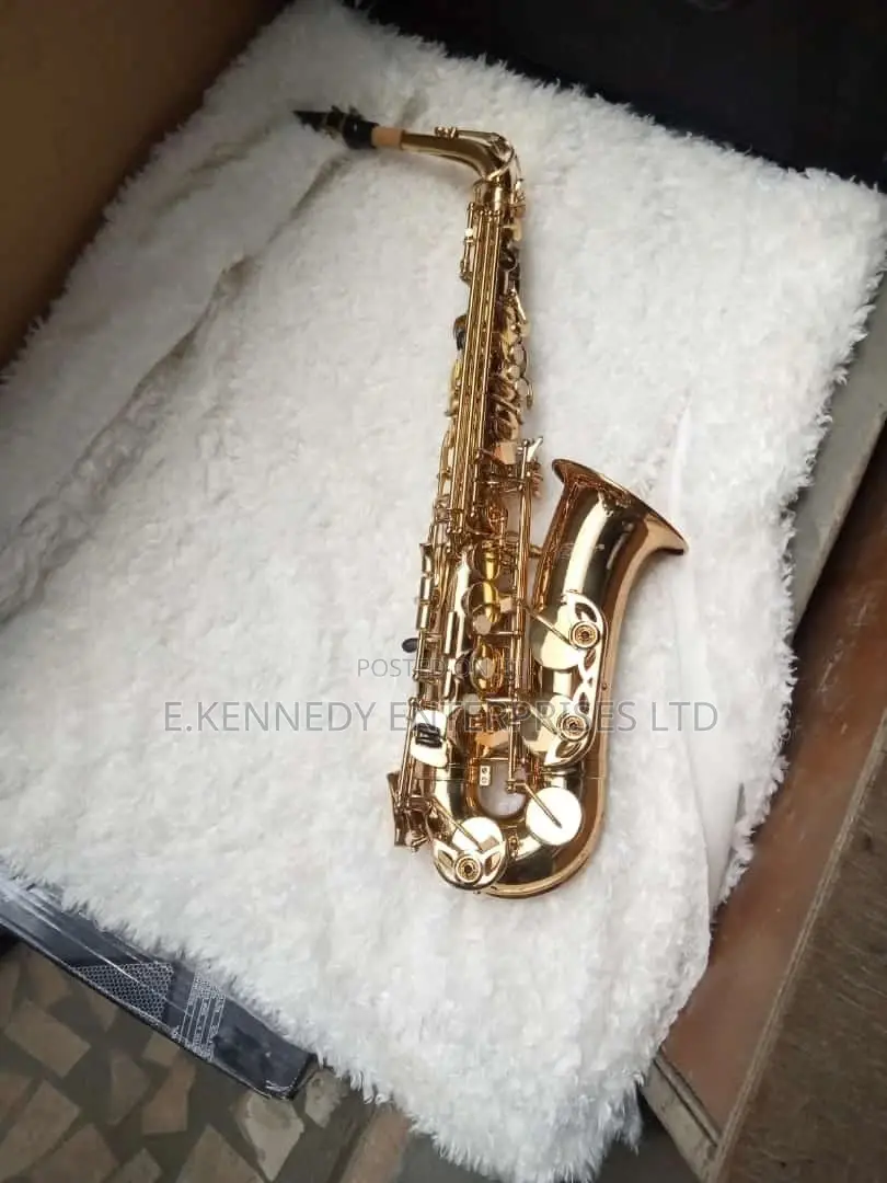 Professional Gold Alto Saxophone